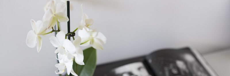 ContinMarta's profile banner image
