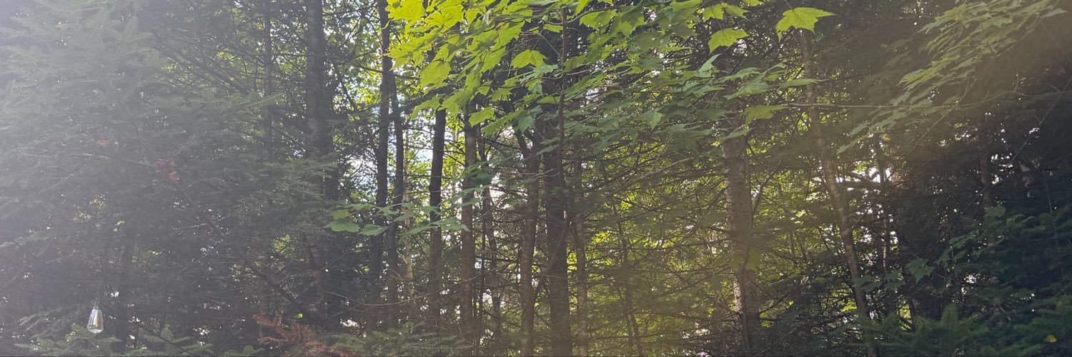nelladesiree's profile banner image