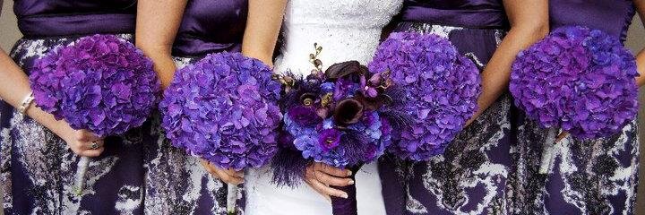 NINA_Weddings's profile banner image