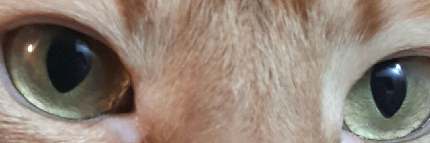 aesa68's profile banner image