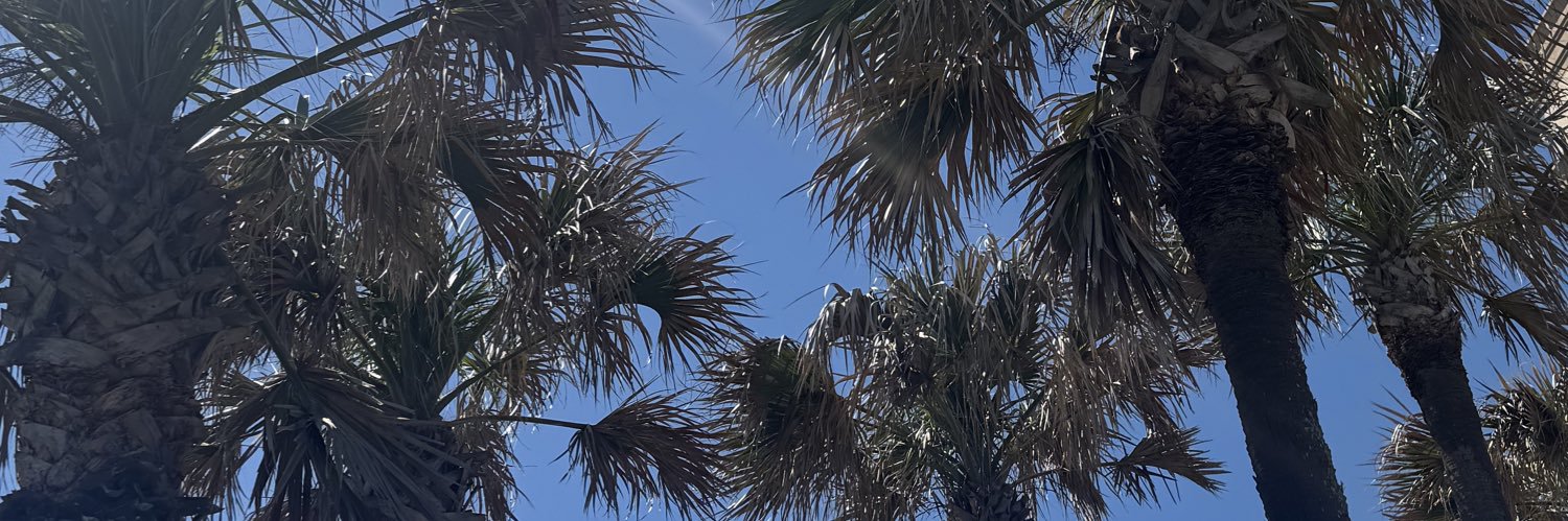 hdominguez02's profile banner image