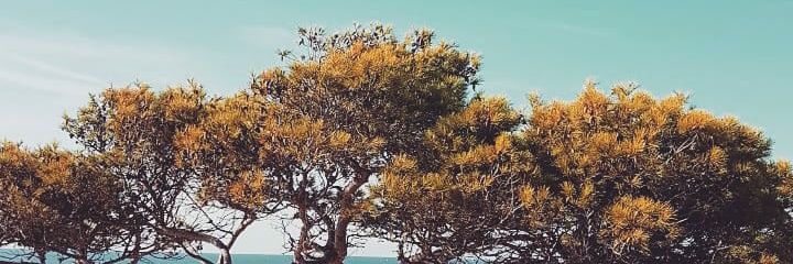 gnikkey's profile banner image
