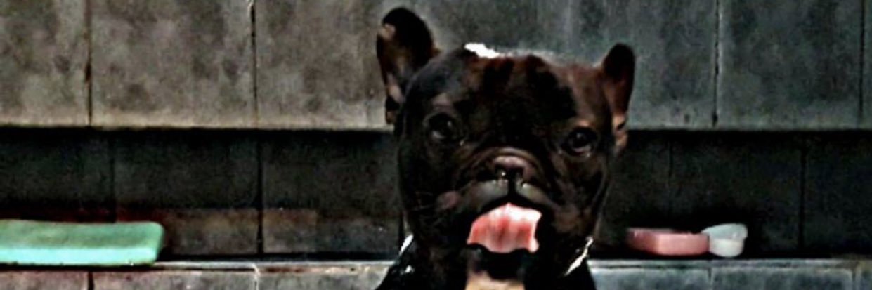 JosephinFa's profile banner image