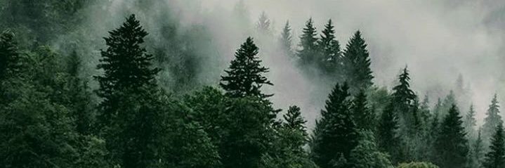 gldnkissy's profile banner image