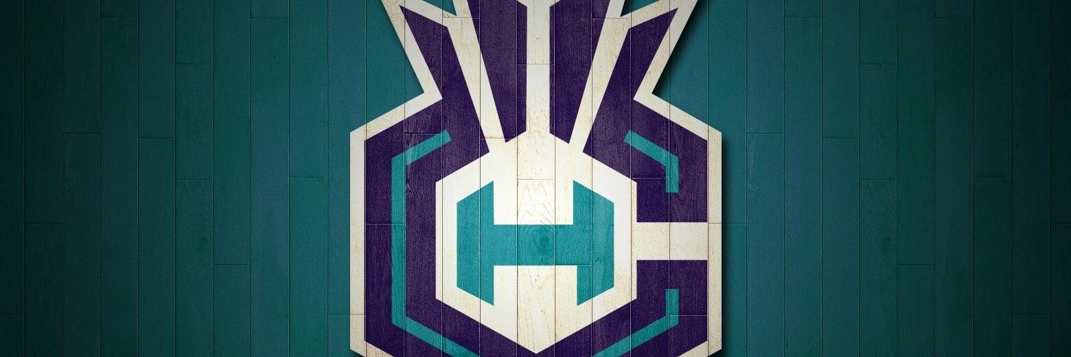 HornetsSpain's profile banner image