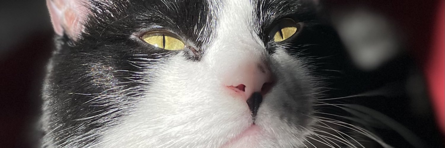 auntieembabes's profile banner image
