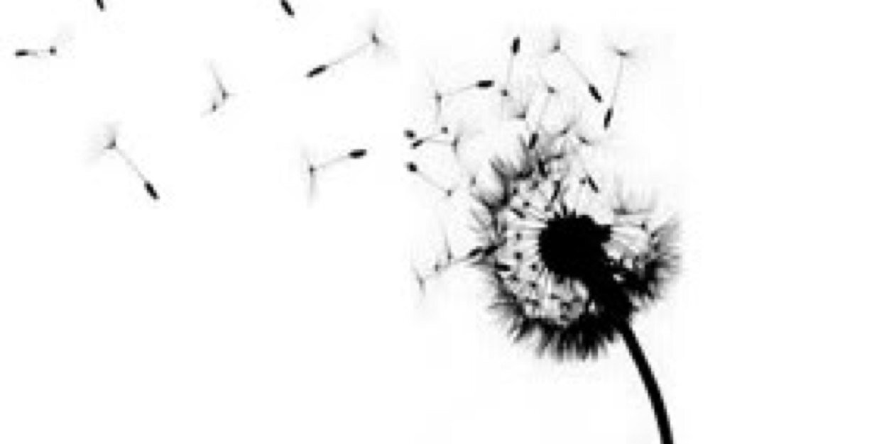 Jkrigley13's profile banner image