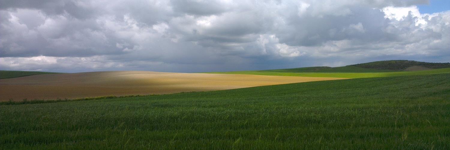 snotpeer's profile banner image
