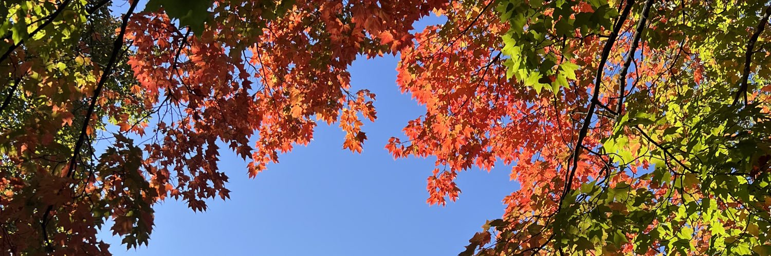 candaceoffman's profile banner image