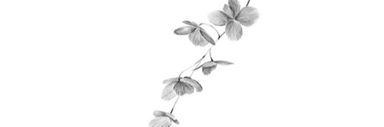 AlleVilli's profile banner image