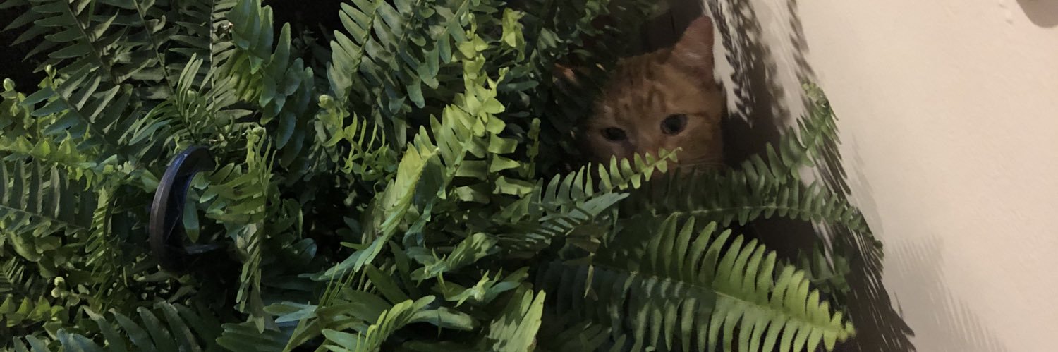JFERNE's profile banner image
