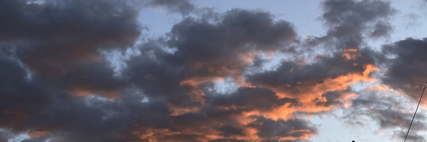 tripsahontas's profile banner image