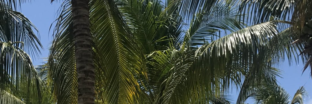 KMKblvd's profile banner image