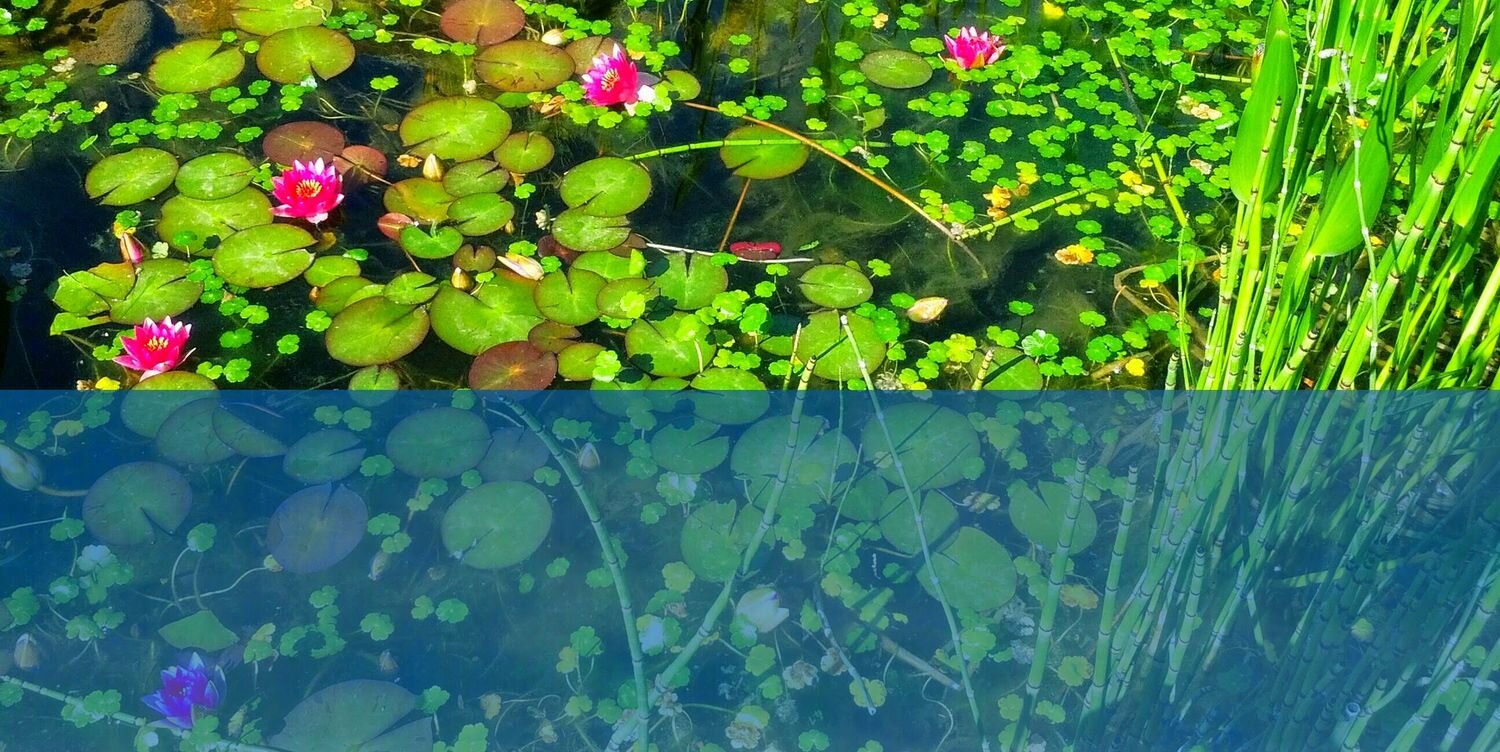 Kingdom Community Mn banner