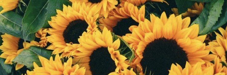 Karmelah97's profile banner image