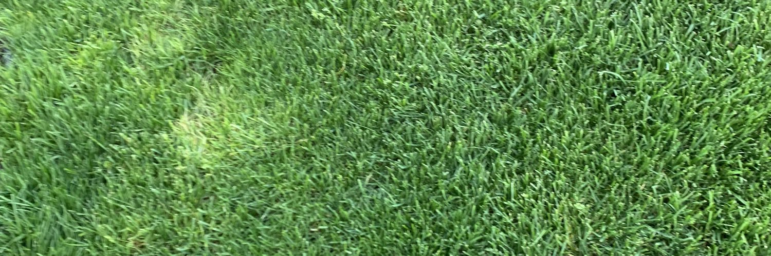 The Real Doink the Clown banner