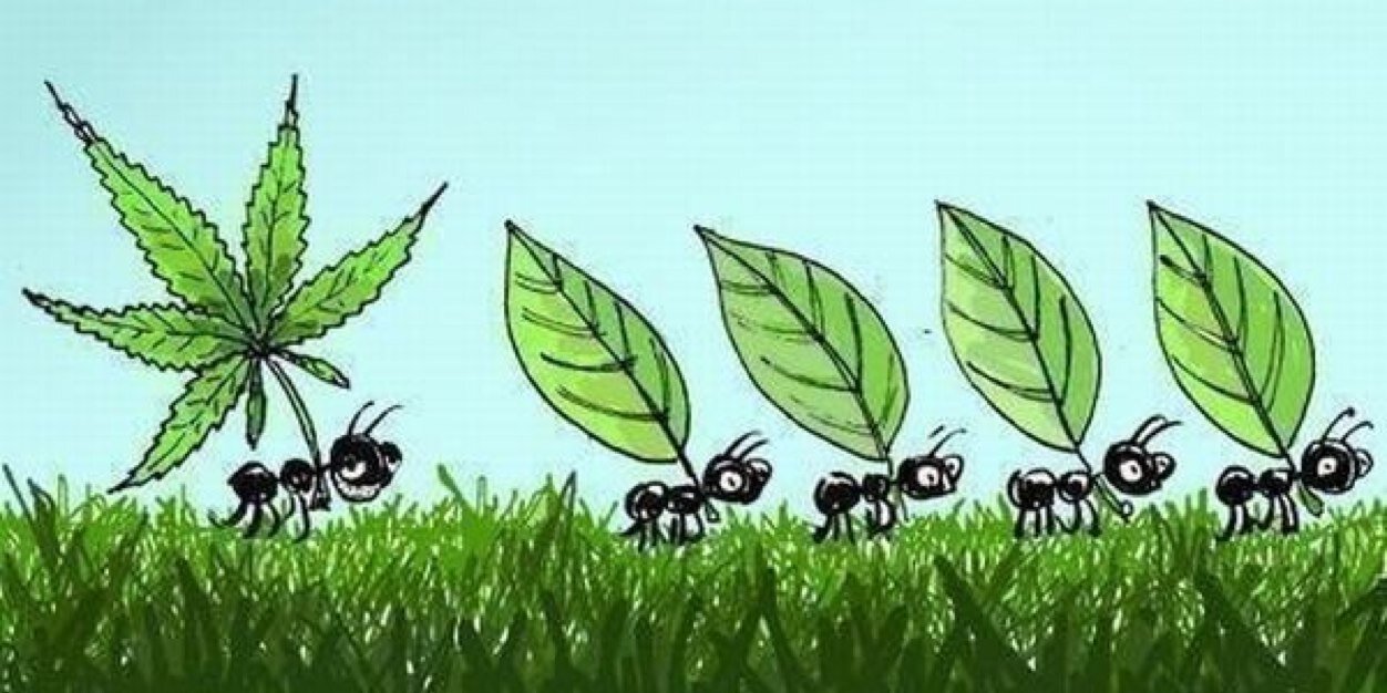 Land_phil's profile banner image