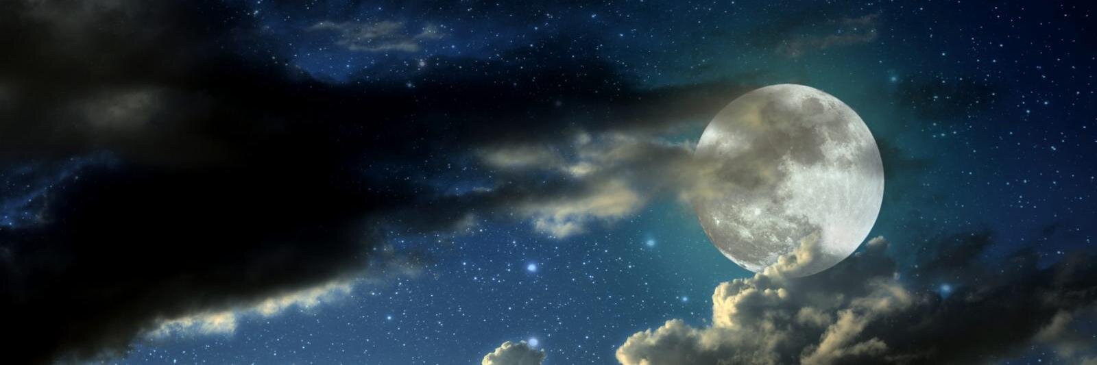 paris_wolf's profile banner image