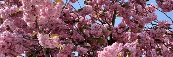 ___Aude___ Profile Banner