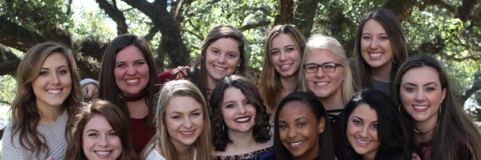 LSU Panhellenic banner