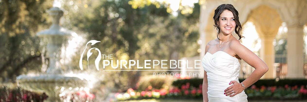 PurplePebbleDFW's profile banner image