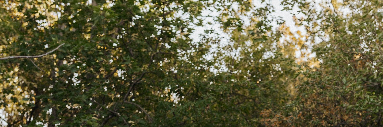 JonasDufek's profile banner image