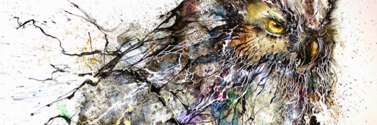 sotarper's profile banner image