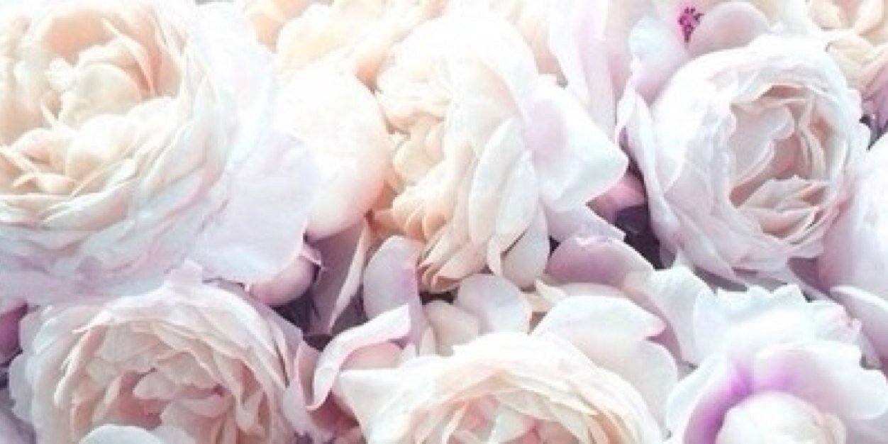 barbsmscgdr's profile banner image