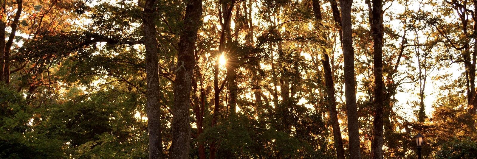 dnholley's profile banner image