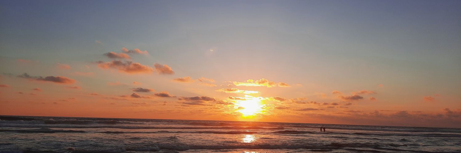 JulioMonki's profile banner image