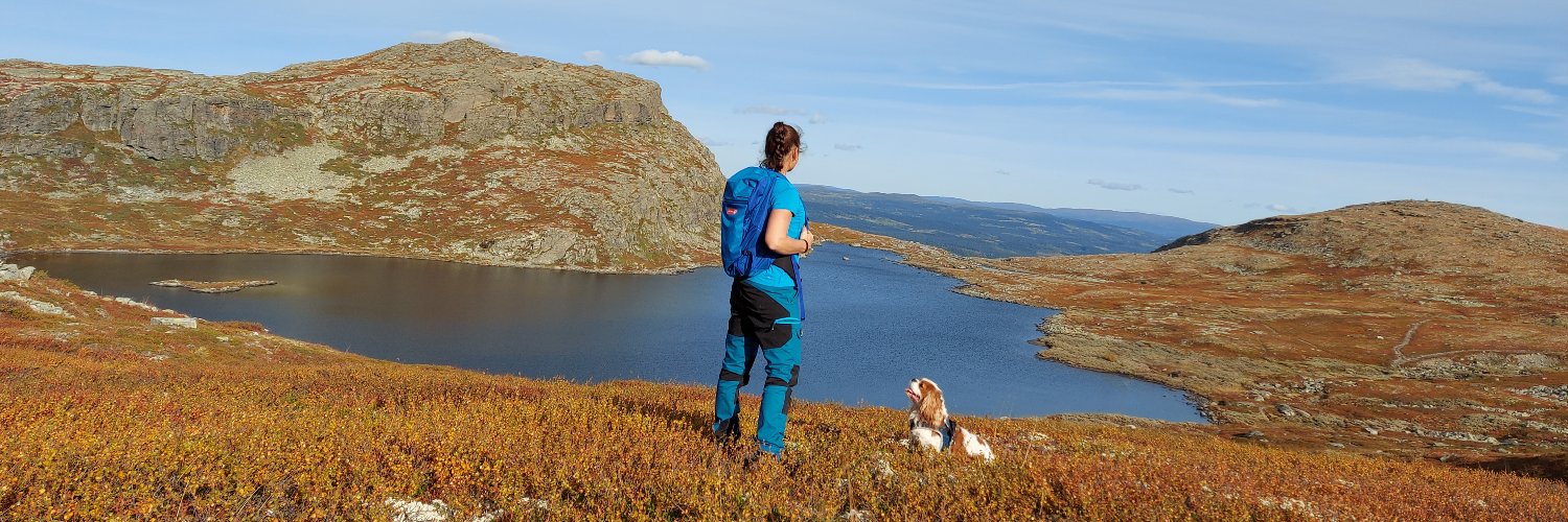 Therese F. Mathisen banner