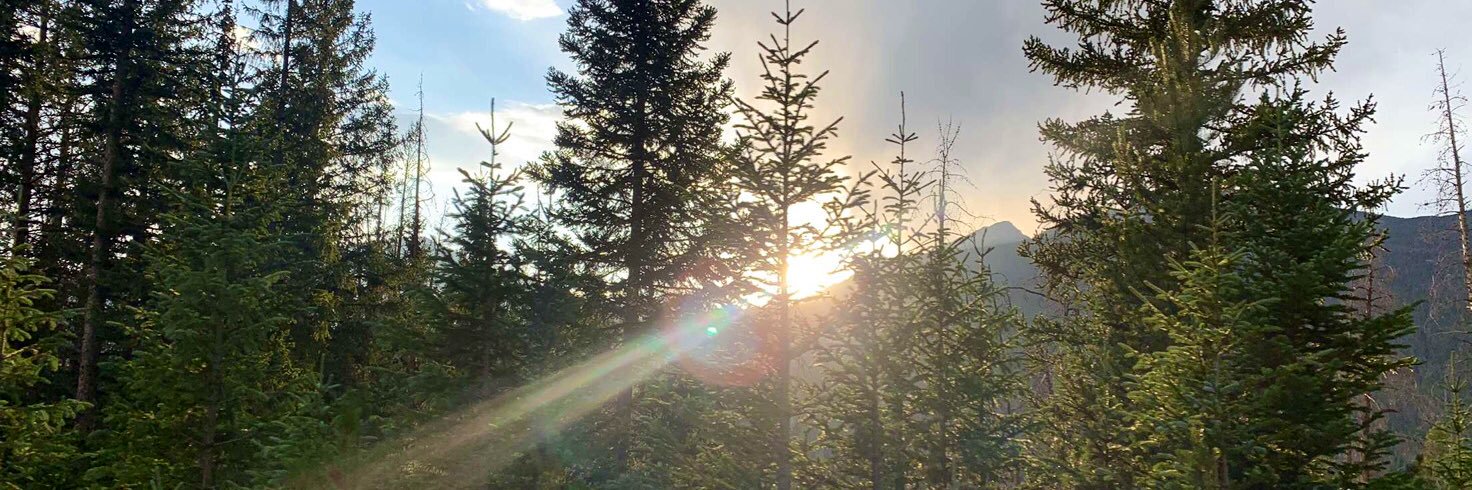 ggrantt7's profile banner image