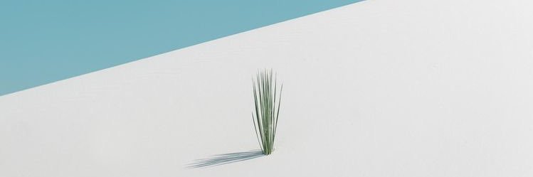 oumschw's profile banner image
