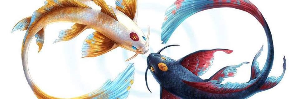 Suzanne_NZ's profile banner image