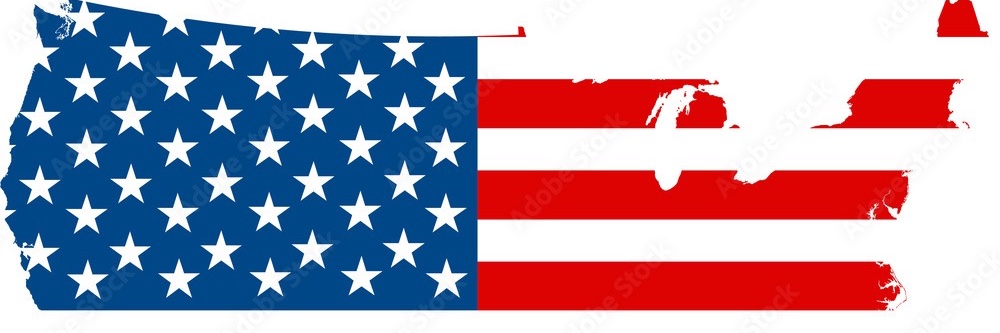 MidwestMom313 banner