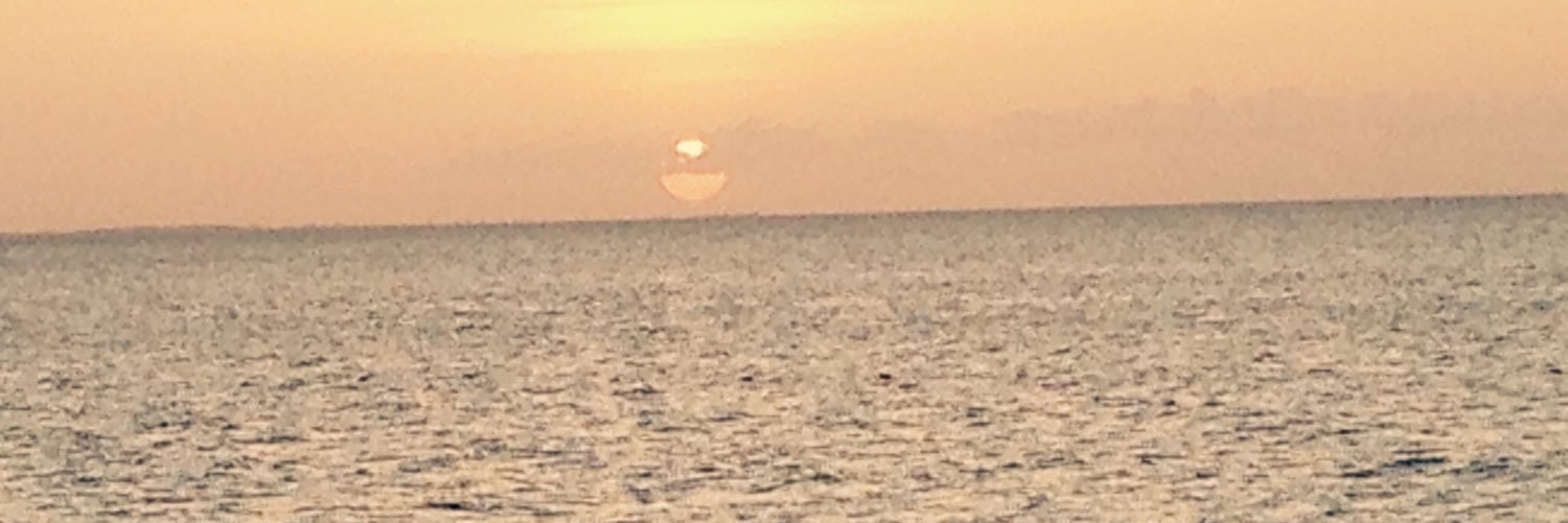 seversonm's profile banner image