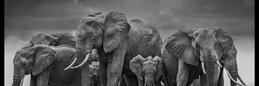 M_DeRaedt's profile banner image