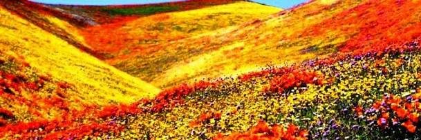 I_SandhyaRajput's profile banner image