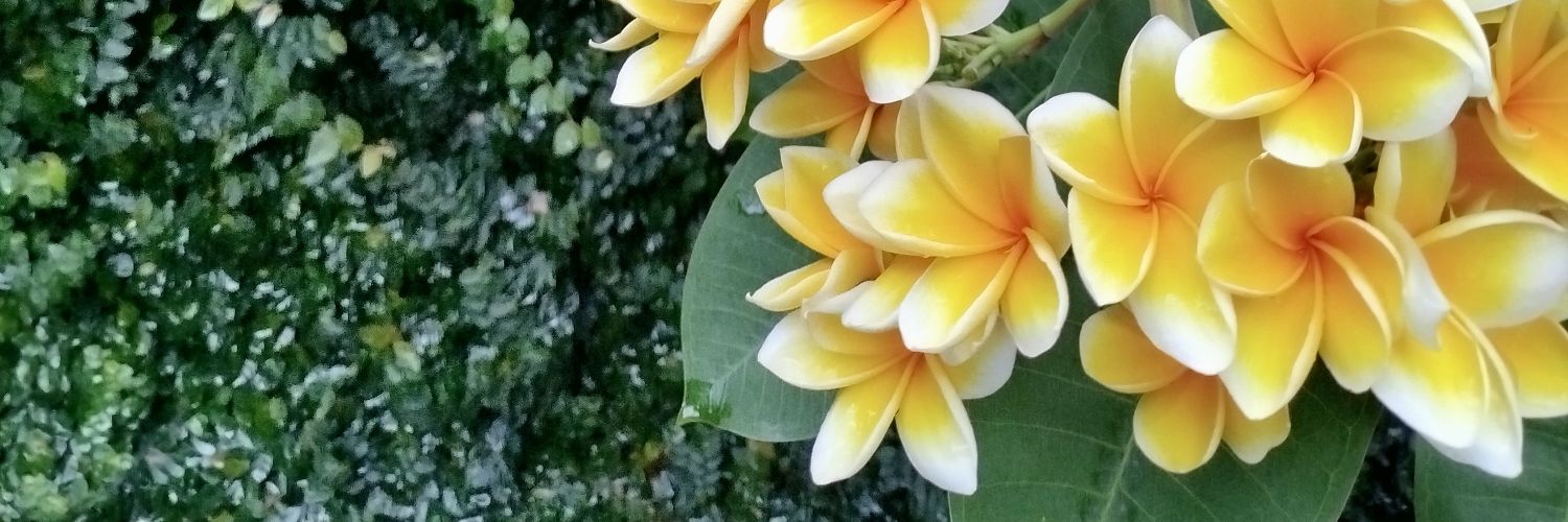 bungaayuu_'s profile banner image