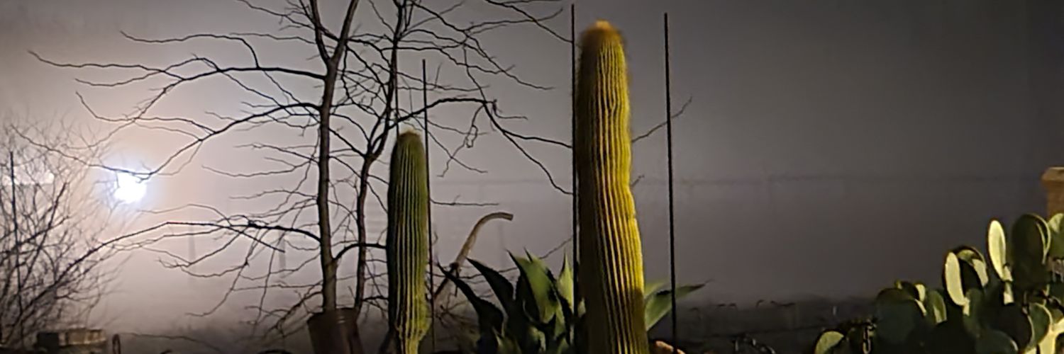 wwdvm's profile banner image