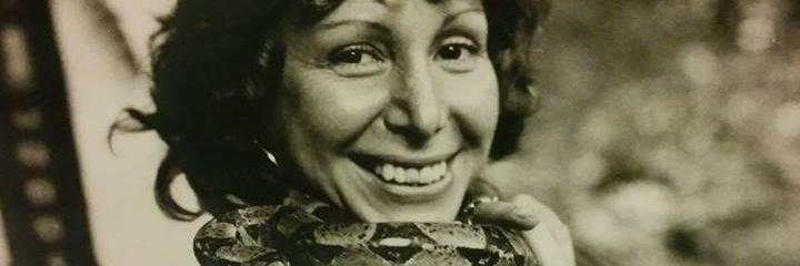 DISCOdEWD's profile banner image