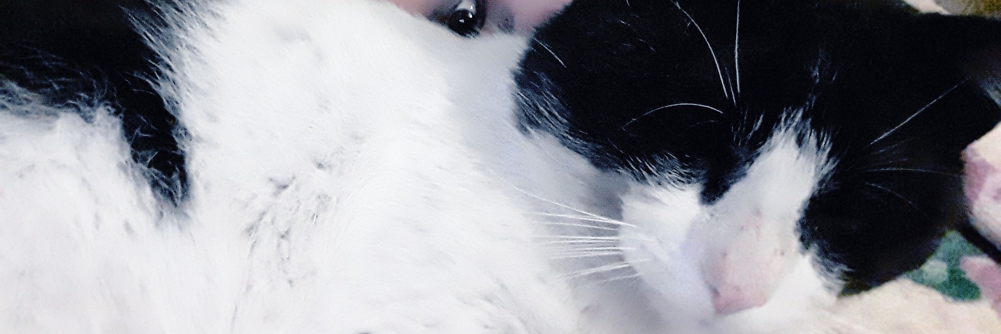 YaamiRodriguezz's profile banner image