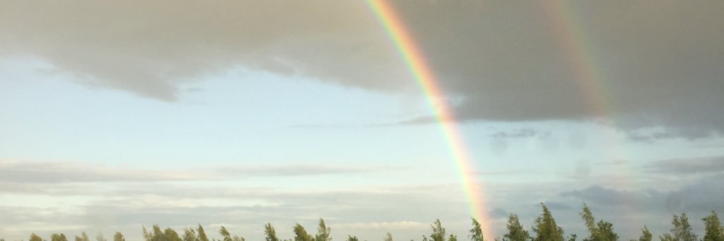 morganhudsonx's profile banner image