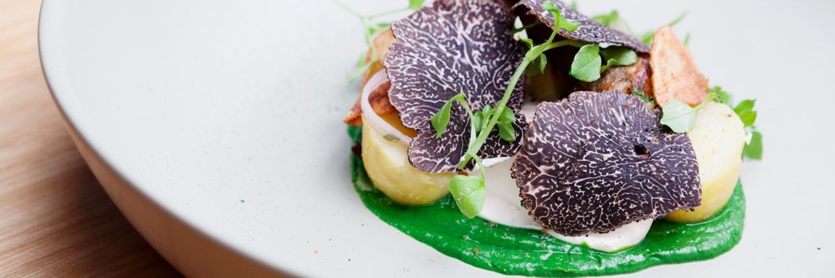 Circa, The Prince banner