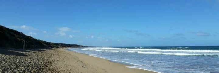 Kay Critchell, PhD banner