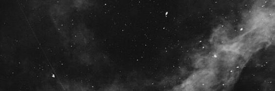 mowgly.eth banner