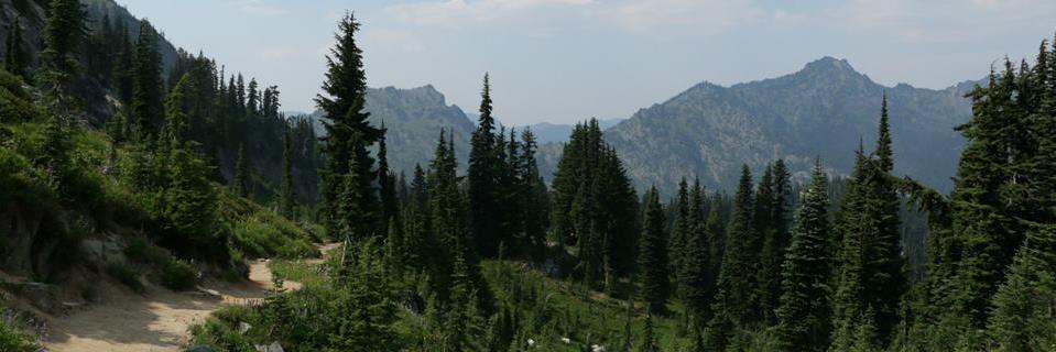 AlanP_Lacy's profile banner image