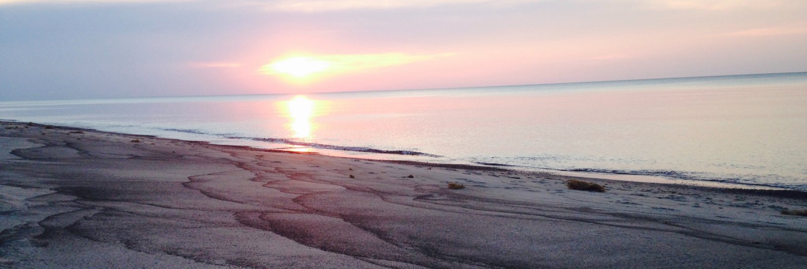 Nom-de-Plume … banner