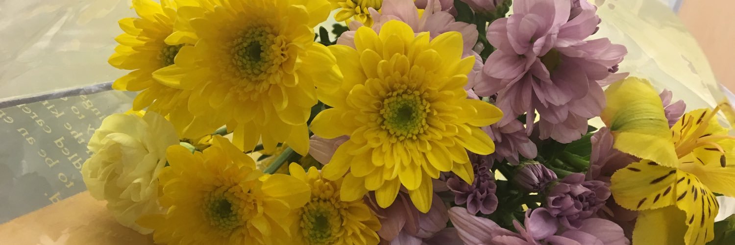 pi_taro_ri's profile banner image