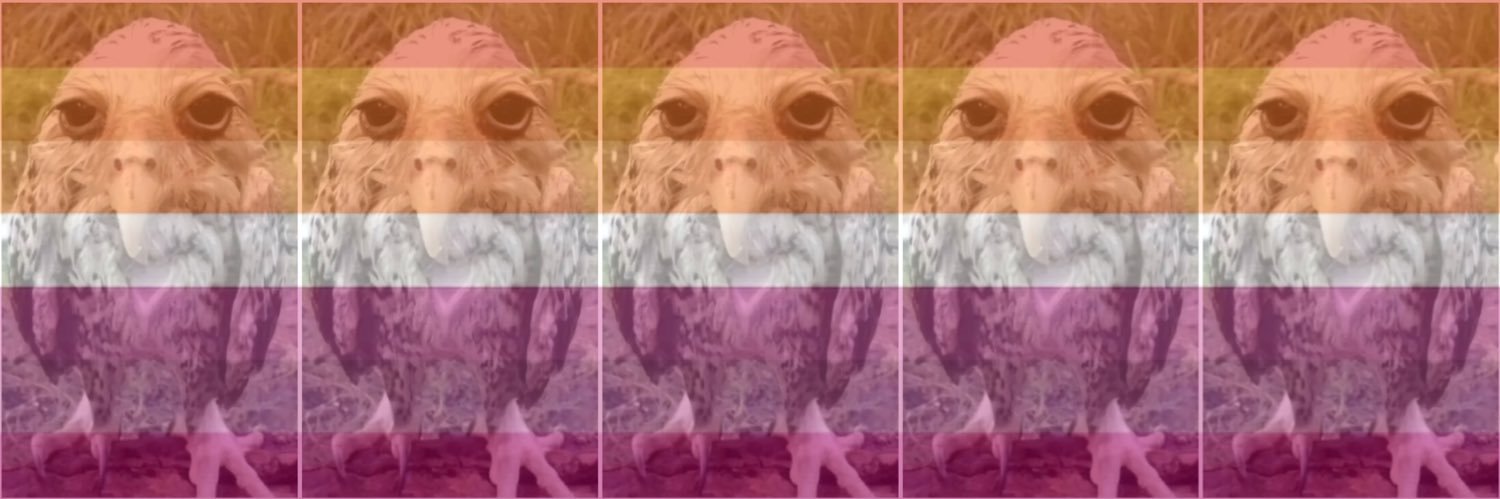 pdlope's profile banner image